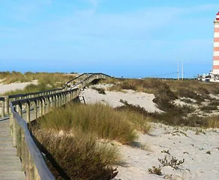 Family's Aveiro 噶凡哈达纳扎雷